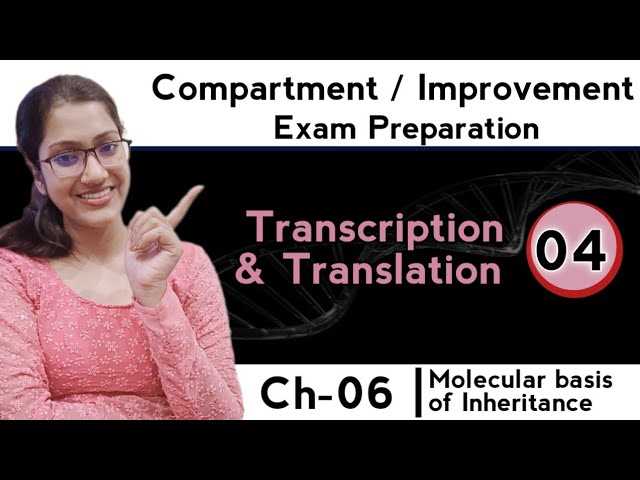 transcription exam questions with answers