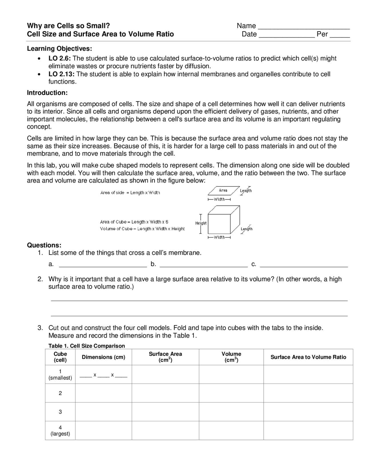 cell size worksheet answer key