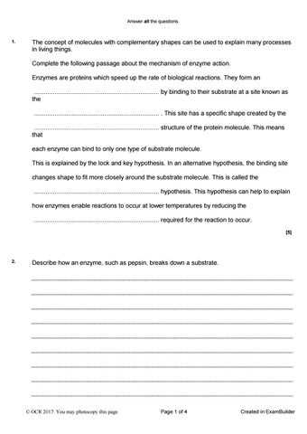 enzymes exam questions and answers