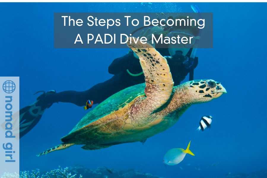 padi divemaster final exam answers