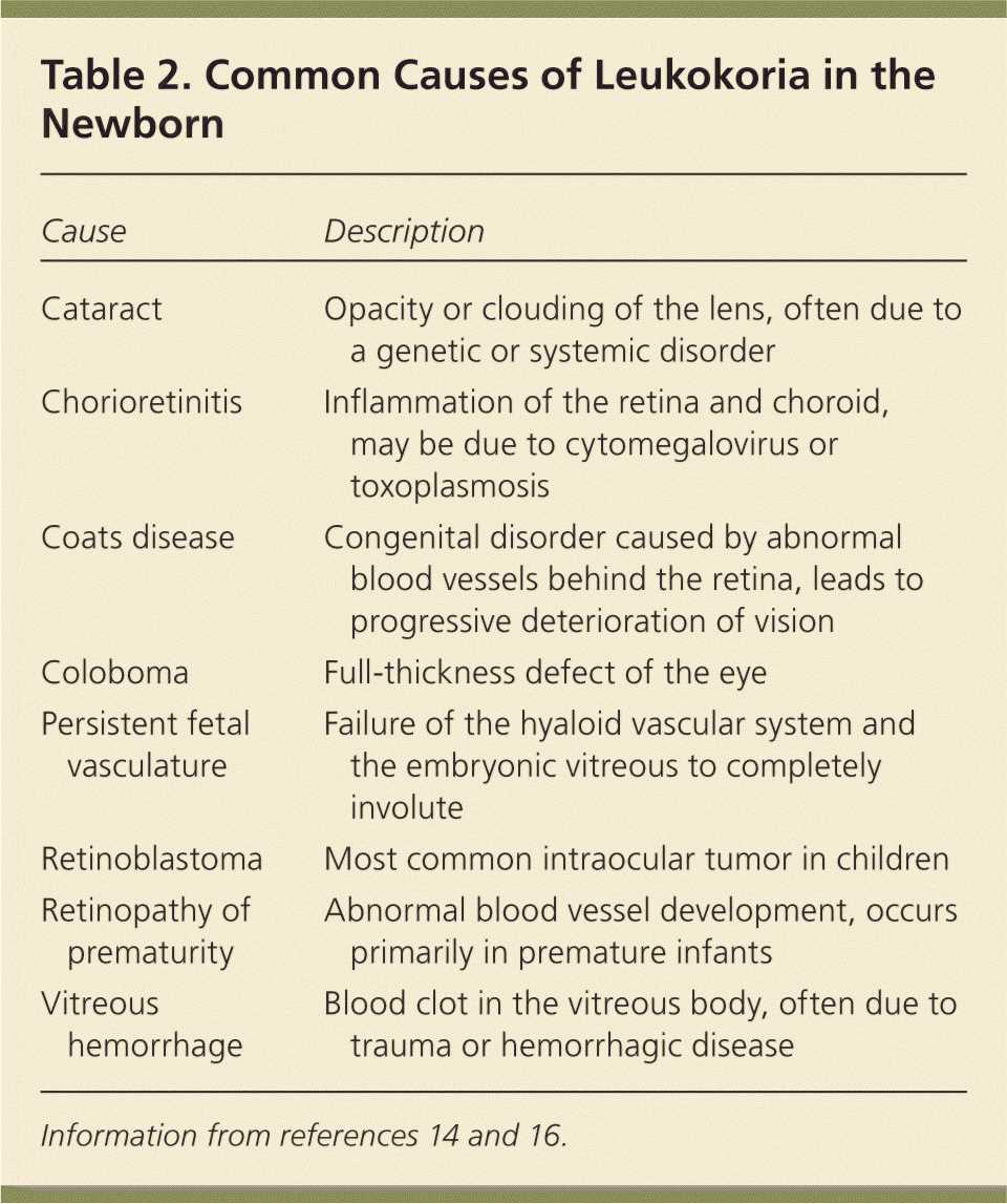 newborn physical exam write up