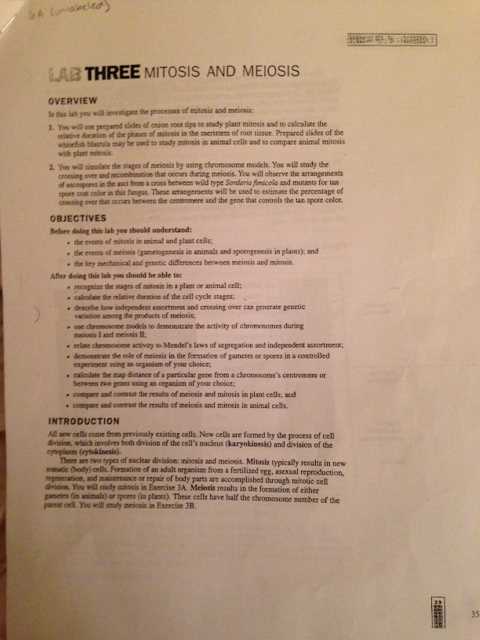 lab three mitosis and meiosis answer key