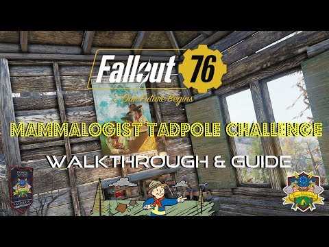 fallout 76 tadpole exams answers