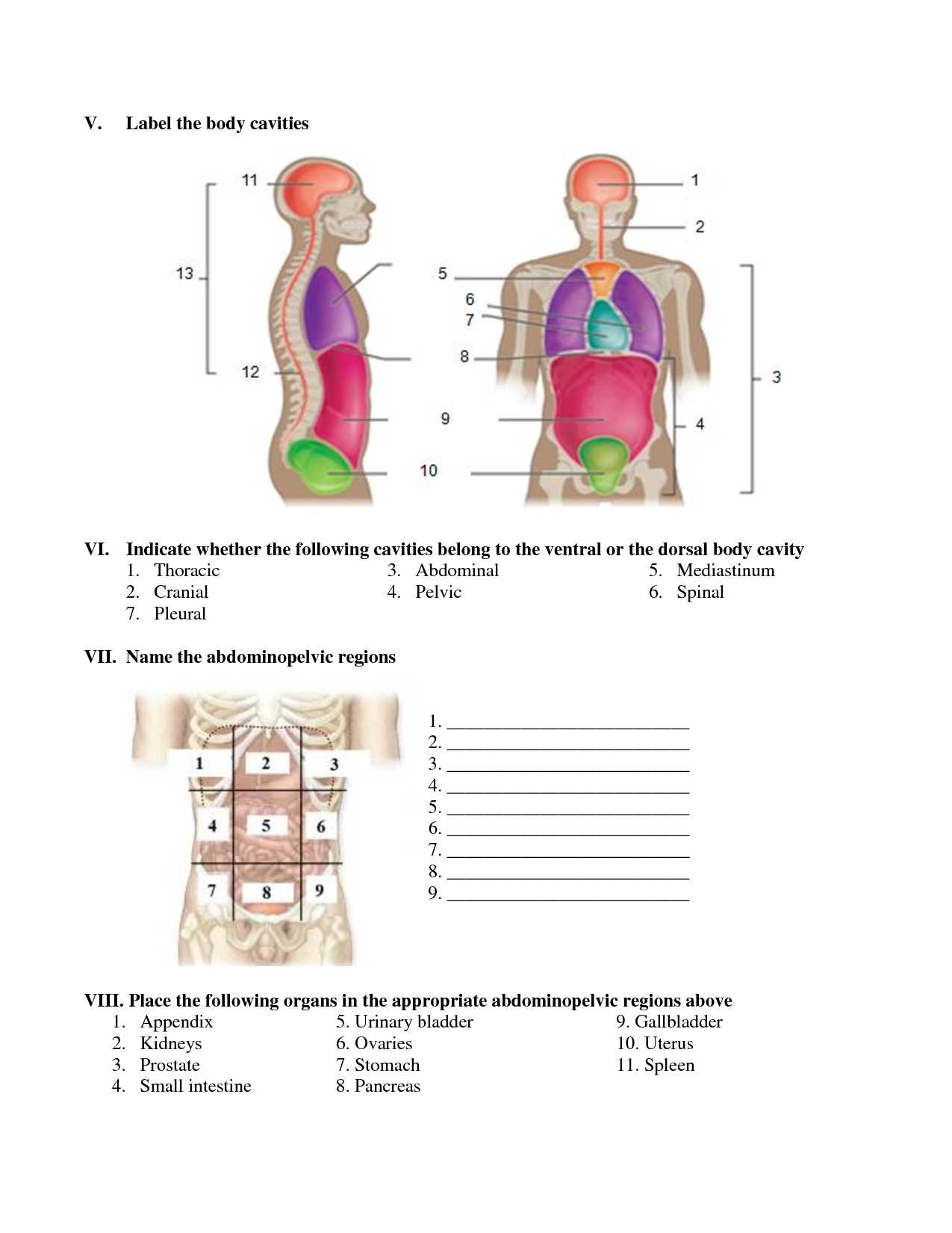 anatomy and physiology exam 2 practice