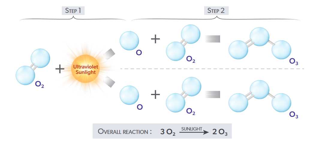 ground disturbance level 2 exam answers