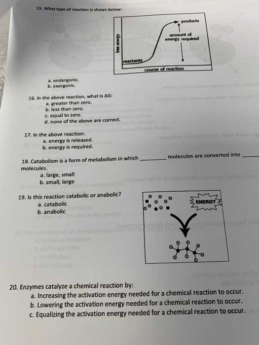 biology 101 final exam questions and answers