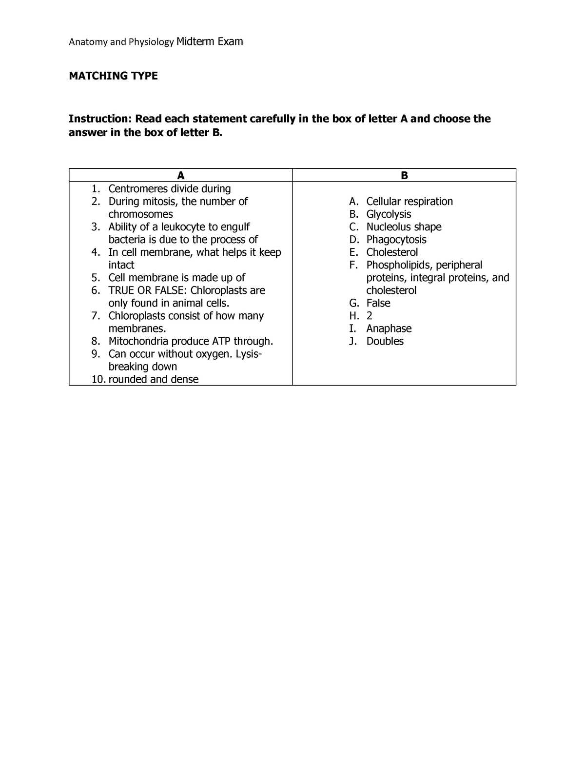 anatomy and physiology midterm exam answers