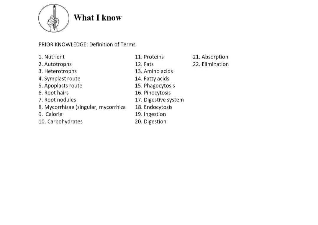 unit 4 vocab level d answers