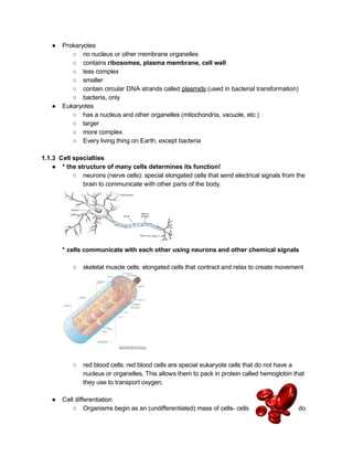 biology eoc practice exam answers