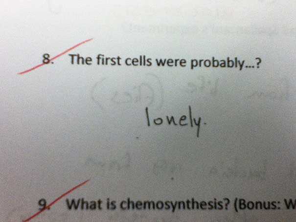 most funny answers in exams