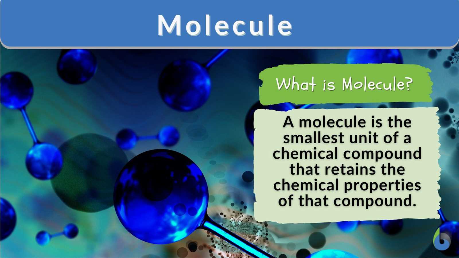 topic 1 biochemistry and the molecules of life answers