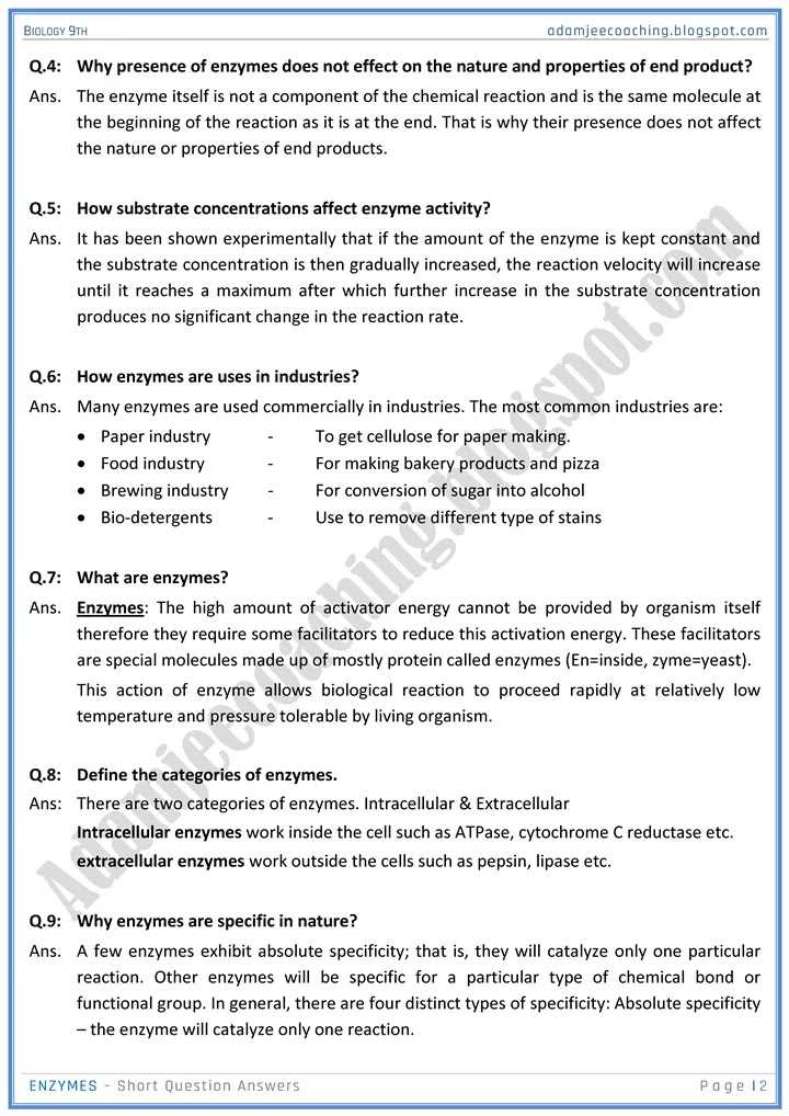 enzymes exam questions and answers