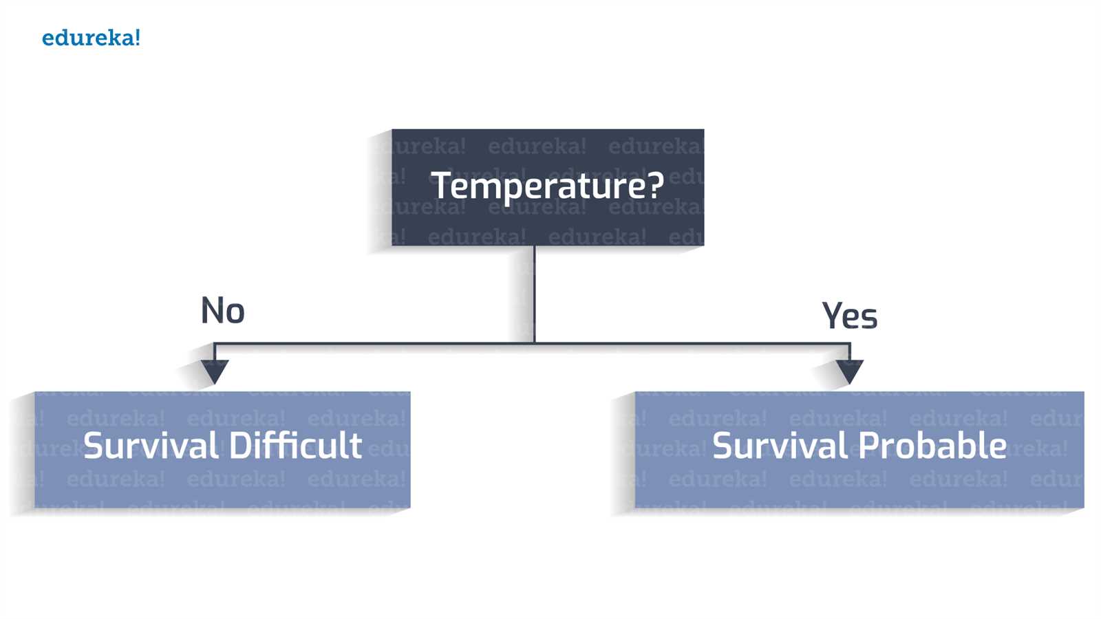 decision tree exam questions and answers