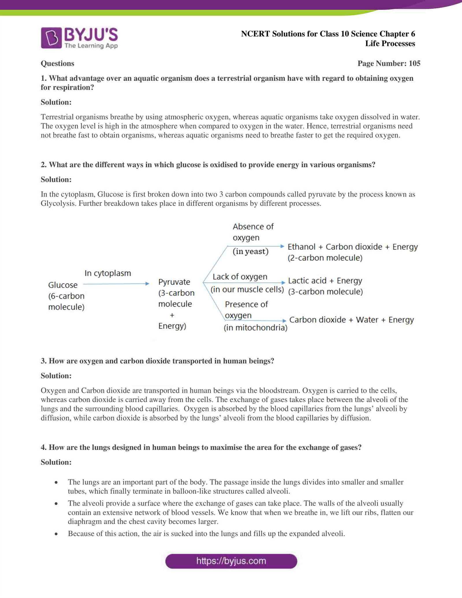 chapter exam 1 life policies answers