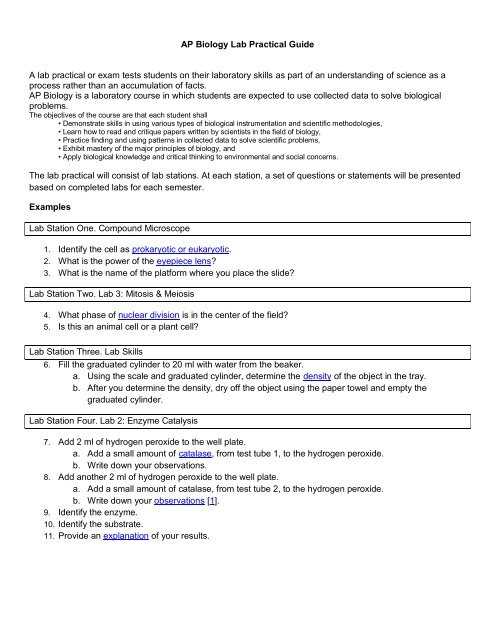 ap biology exam review biochemistry answers