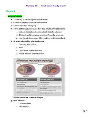 nursing 101 final exam