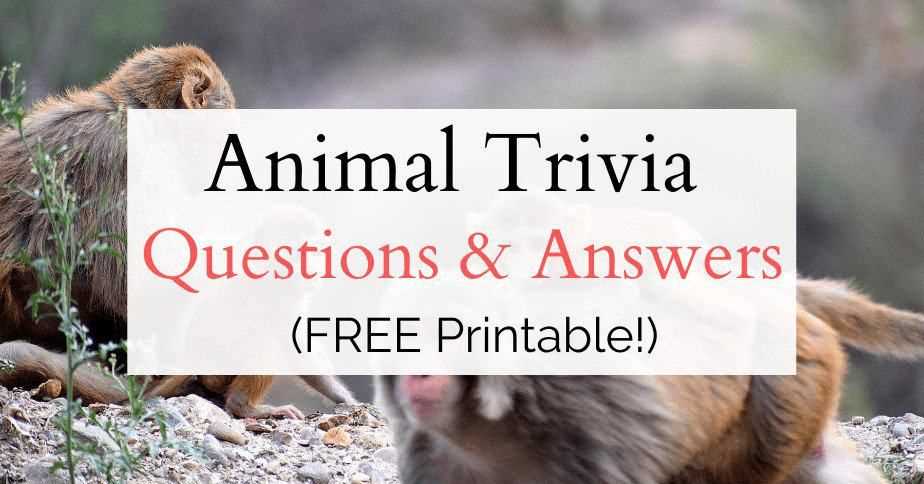 pet trivia questions and answers