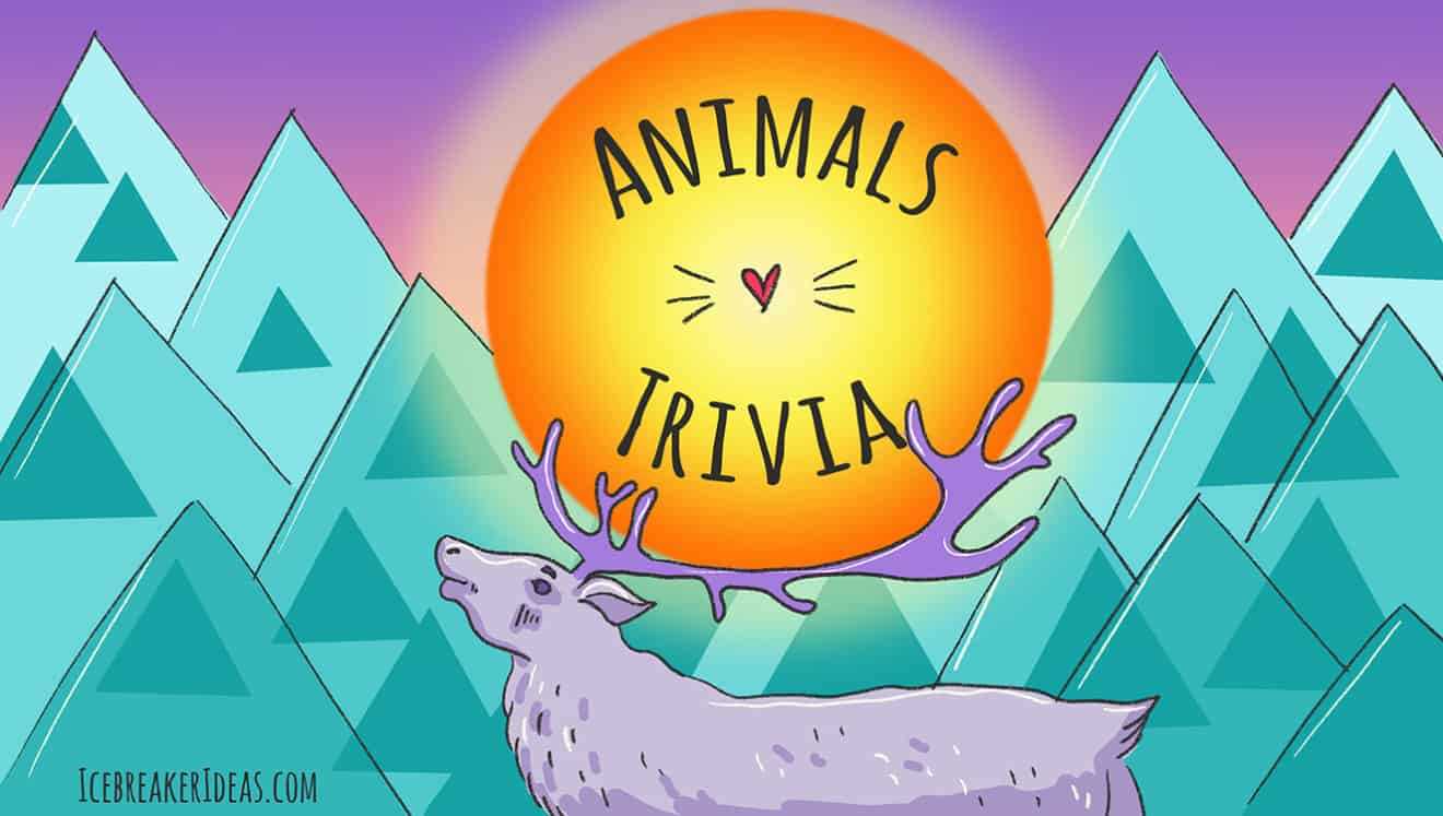 pet trivia questions and answers