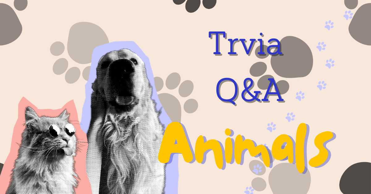 pet trivia questions and answers