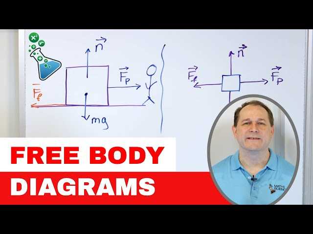 physics classroom free body diagrams answers