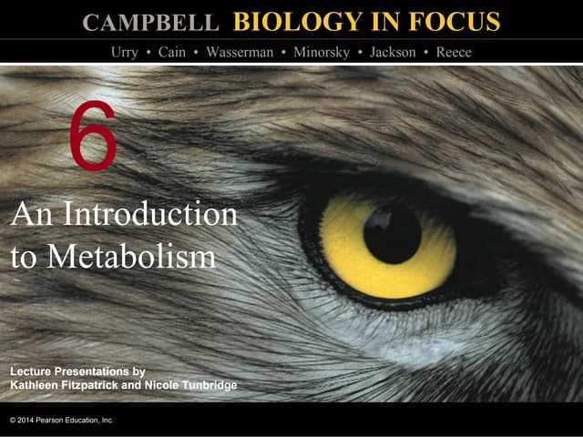 campbell biology scientific skills exercise answers