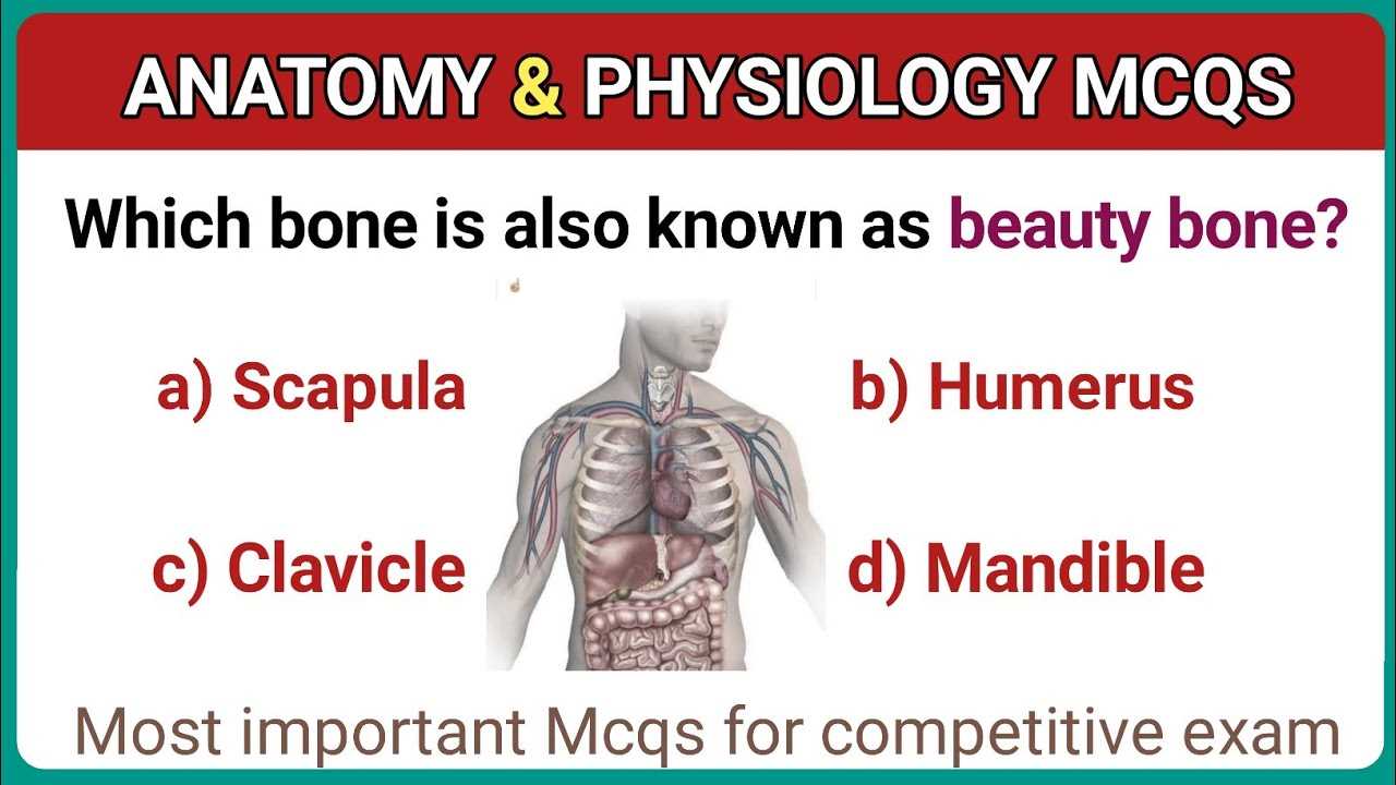 anatomy and physiology exam with answers