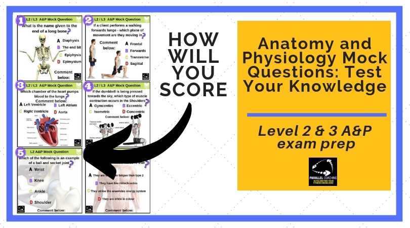 a&p test questions and answers