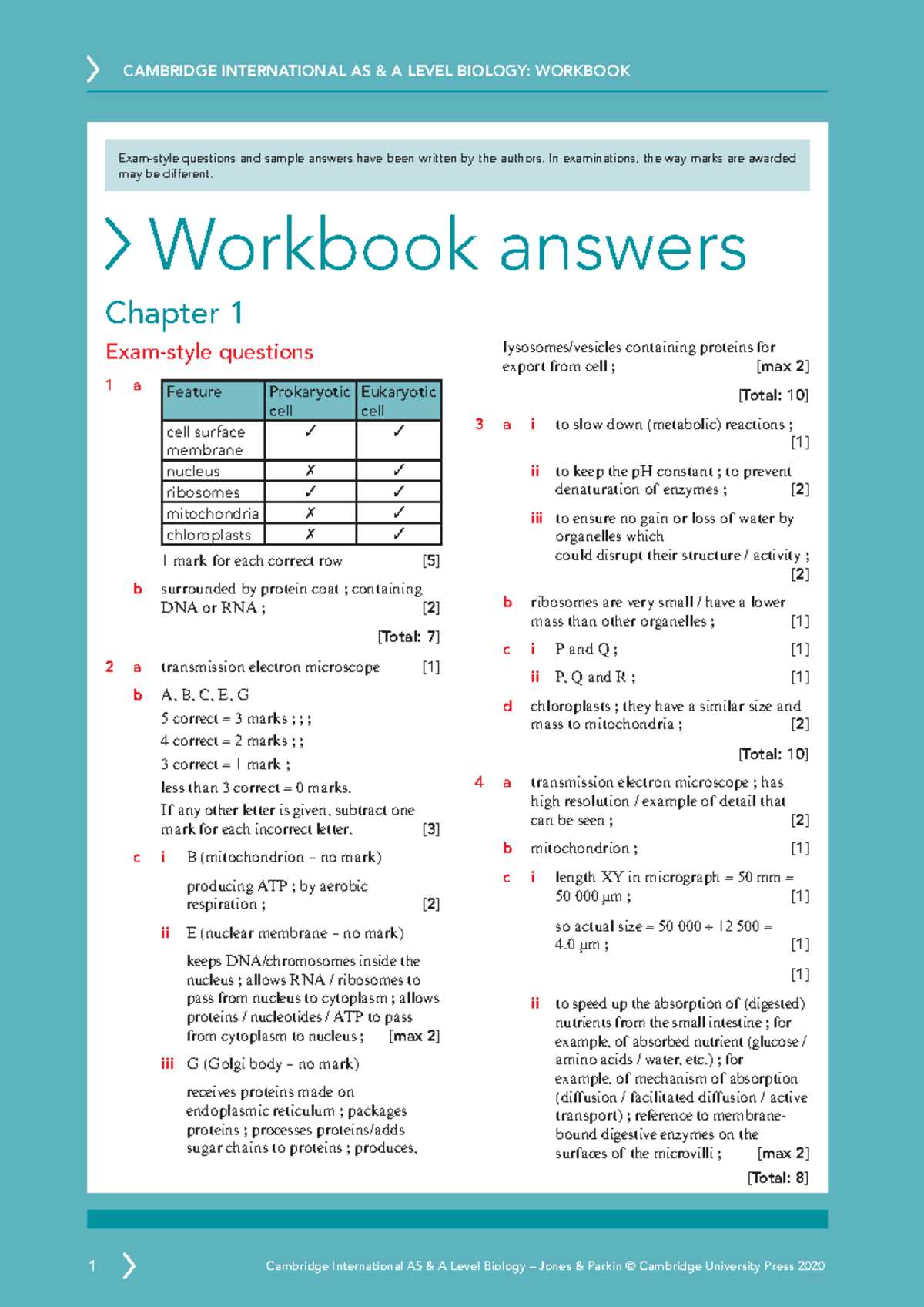 ck 12 biology workbook answers