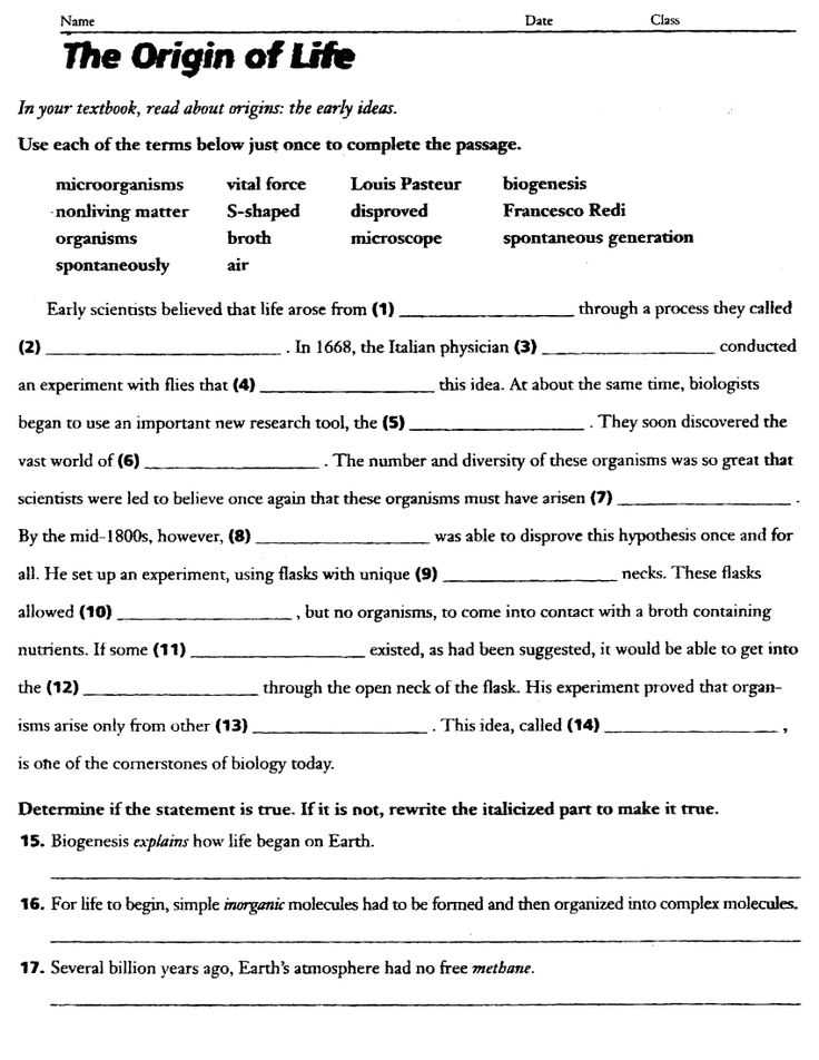 molecules of life worksheet answers