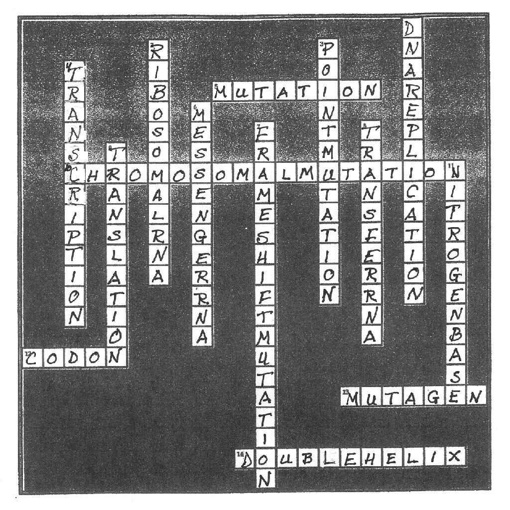 scientific method crossword answer key