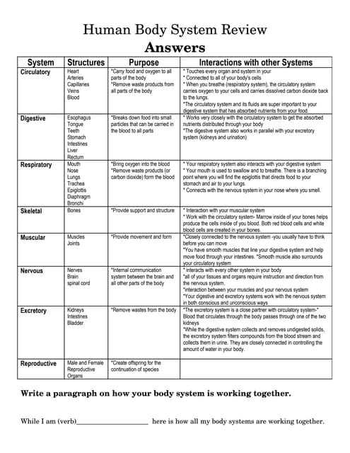 human body systems exam answer key