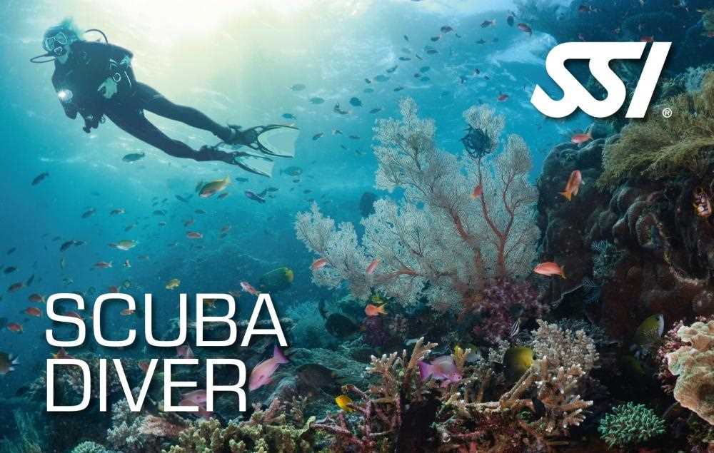 ssi open water diver exam answers