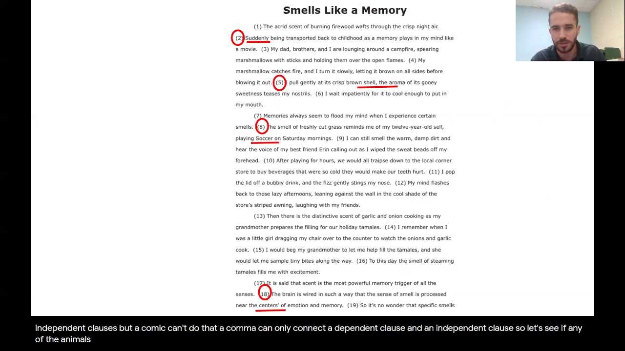 staar english 3 reading 2011 release answers