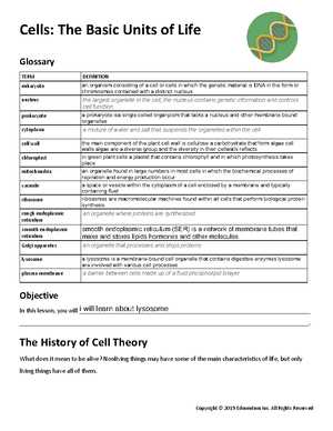 the basic unit of life lab answer key