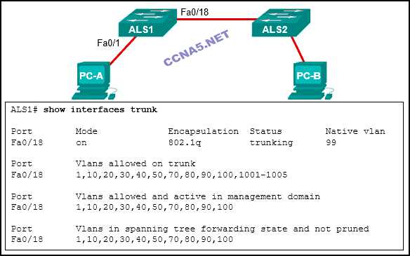 cisco ite chapter 6 exam answers