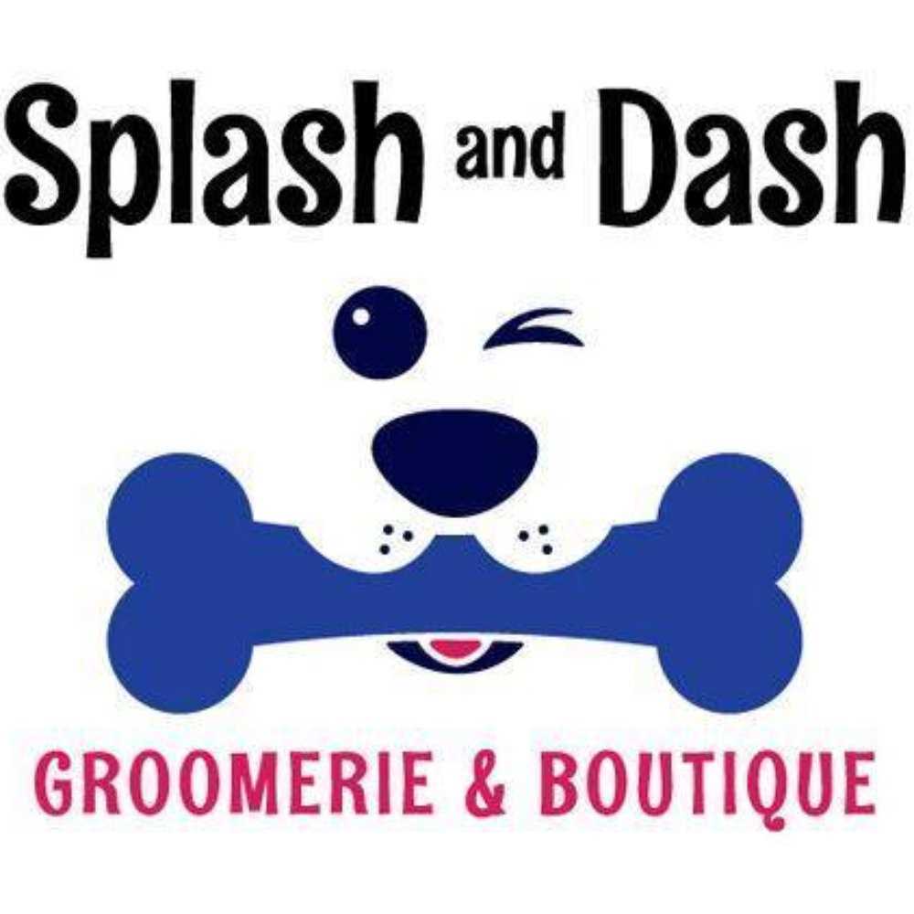 petsmart splash final exam answers