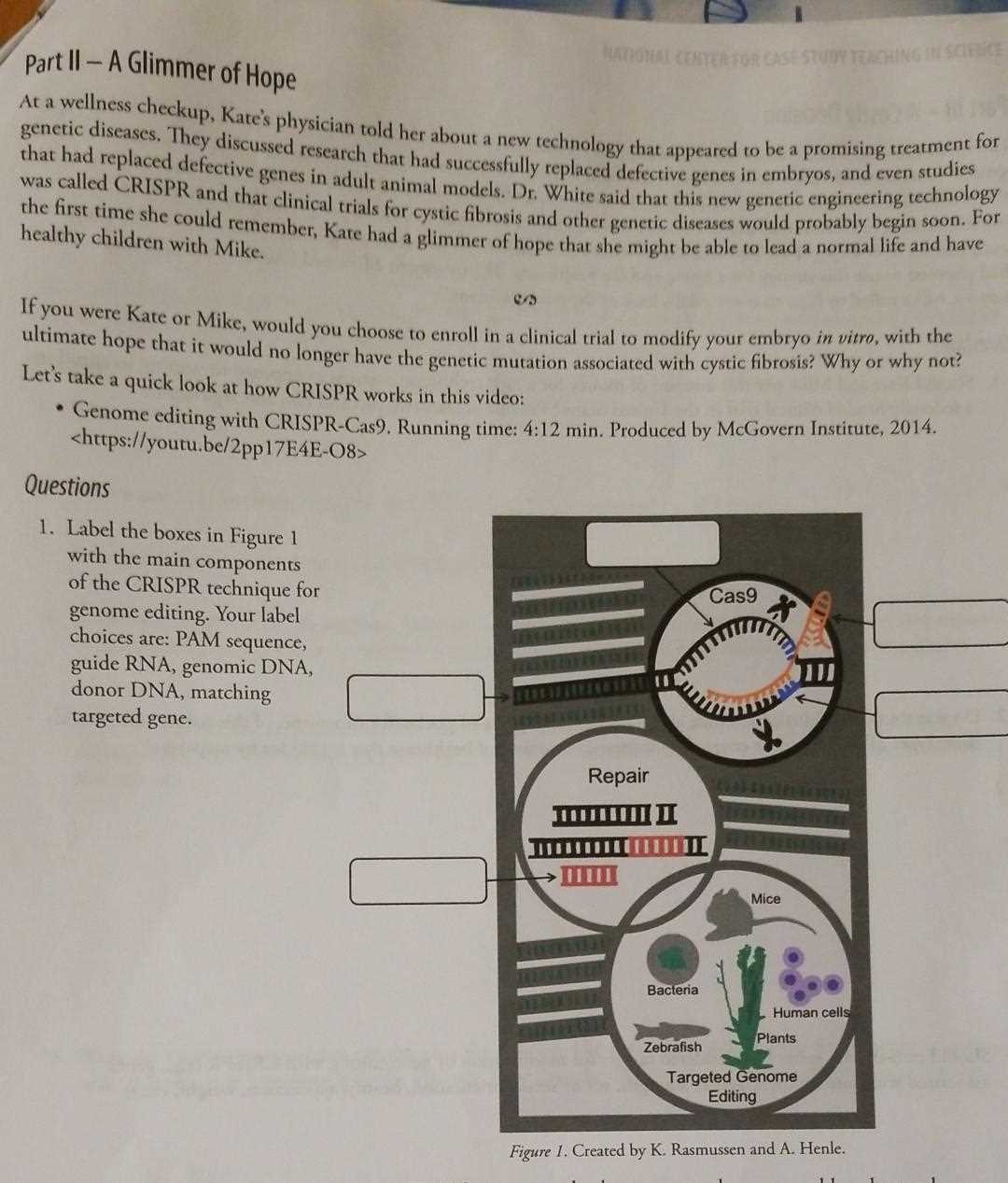 hope segment 1 exam answers