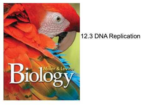 12.3 dna replication answer key