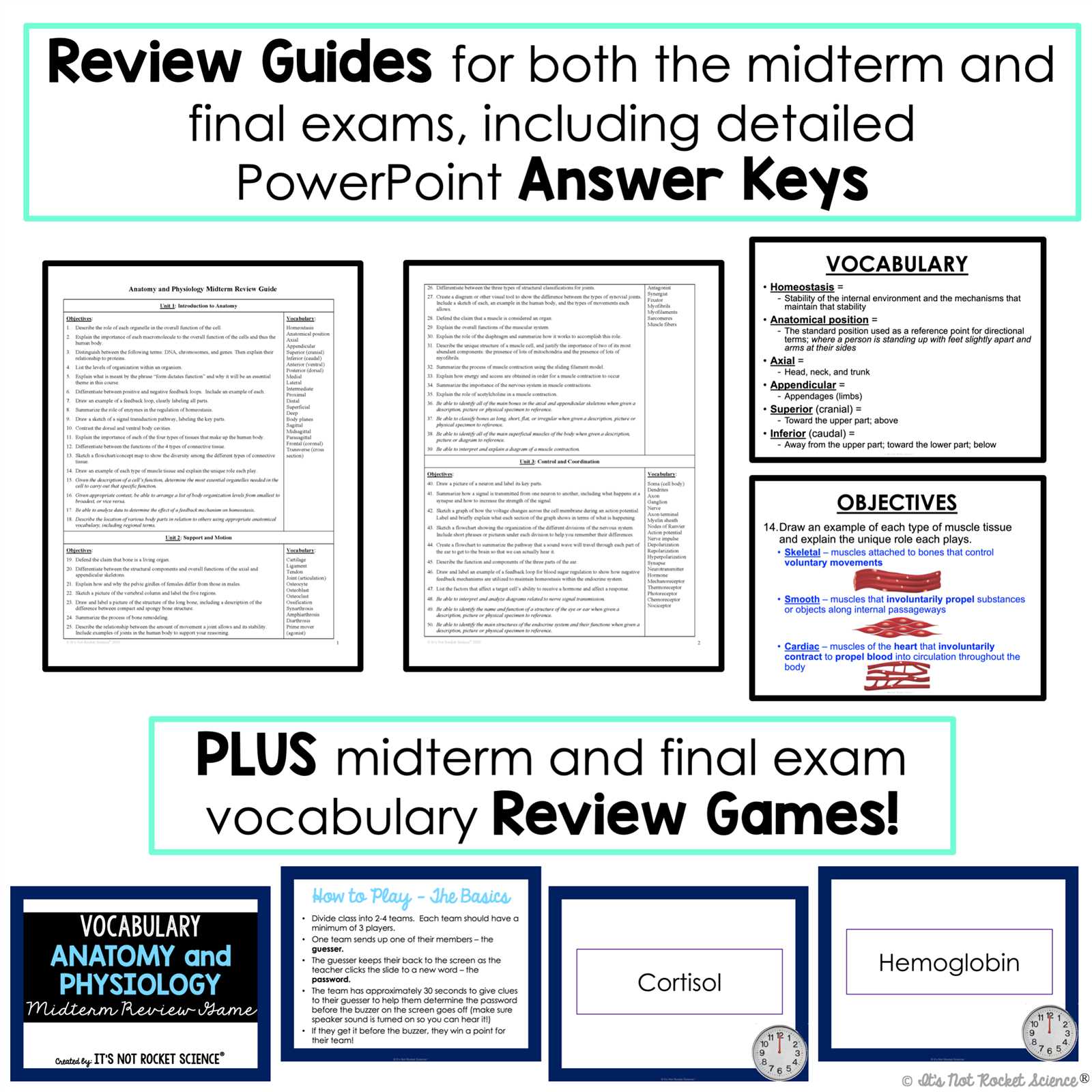 anatomy and physiology final exam practice test