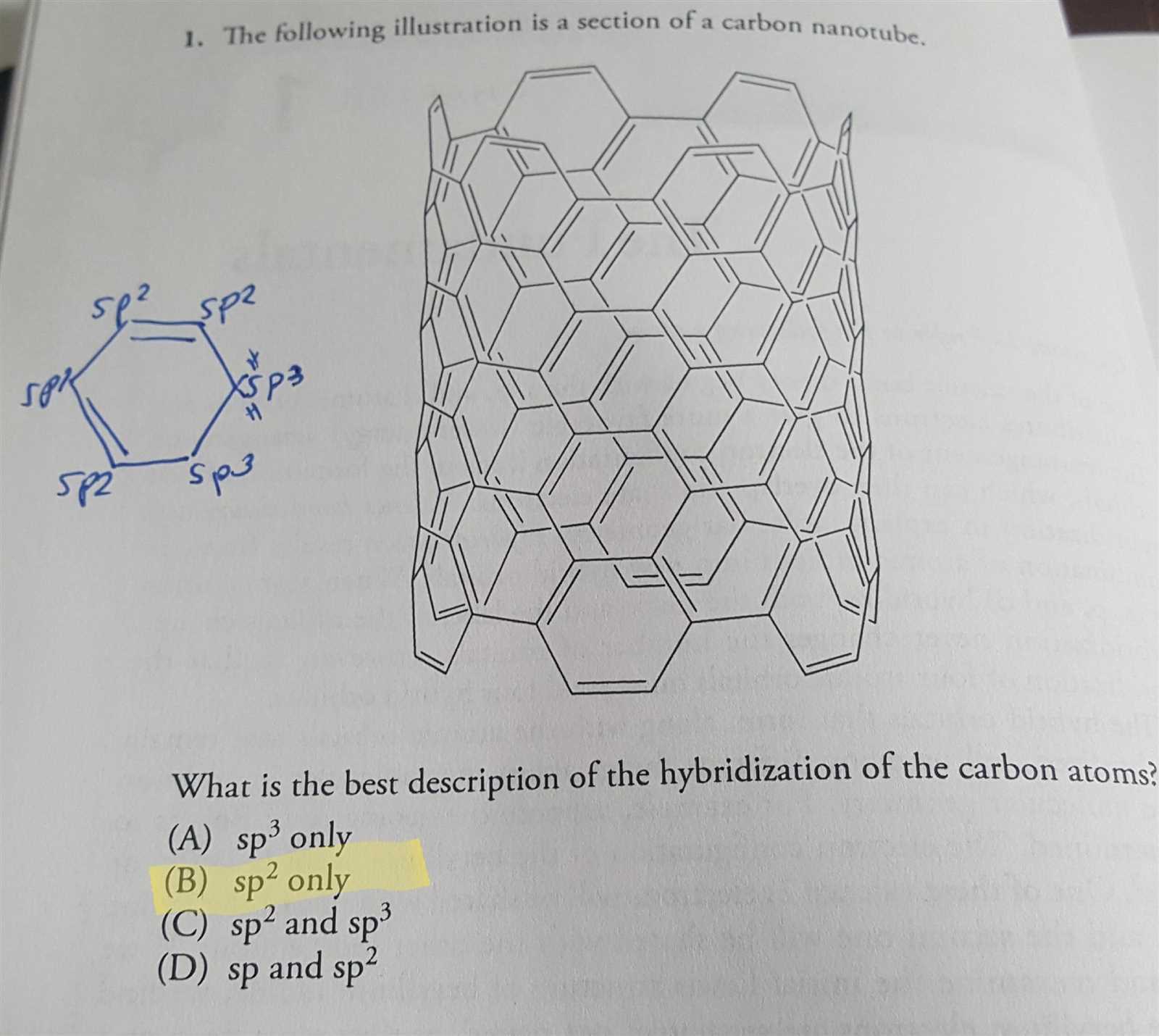 sp2 exam answers