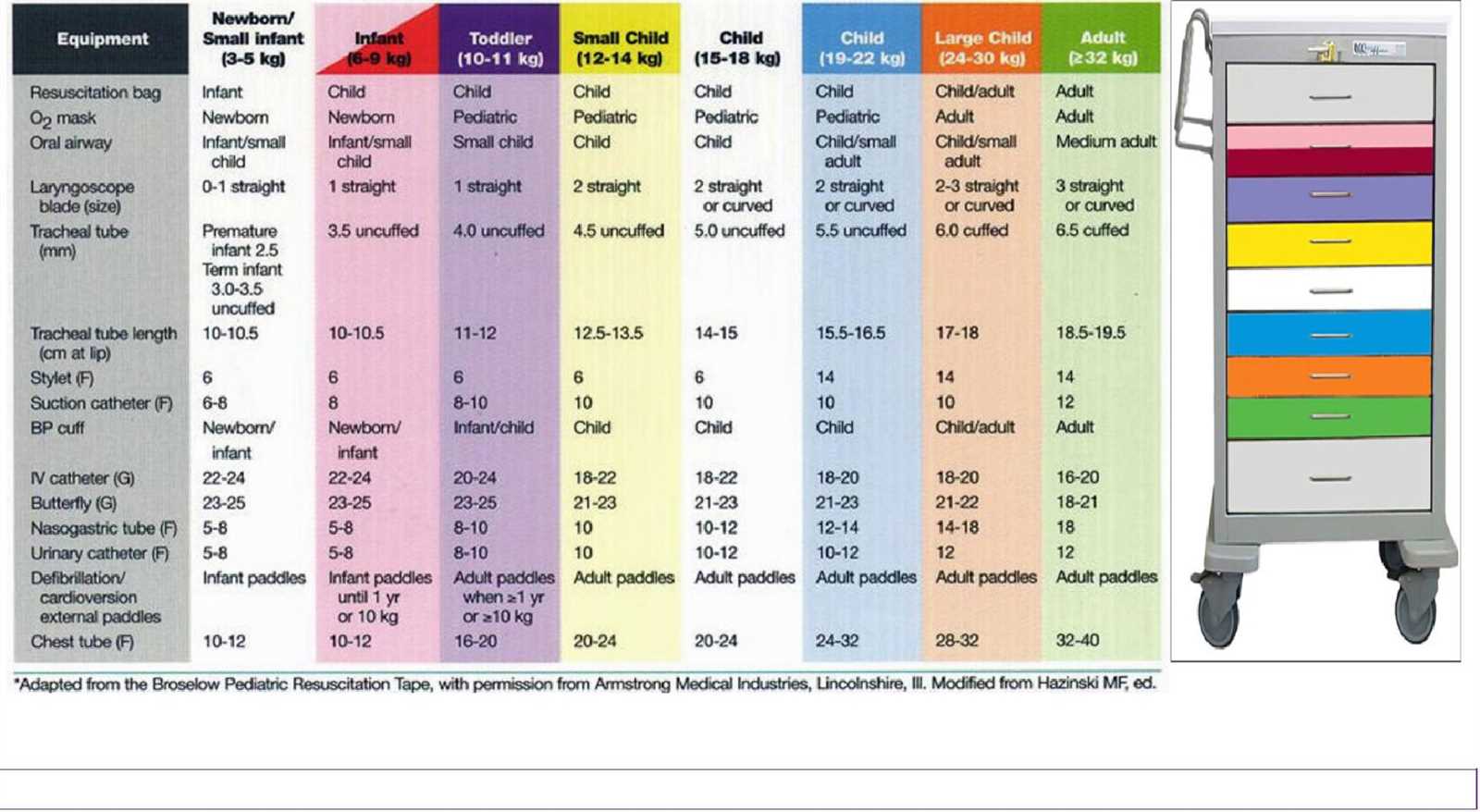 pals pretest answers 2025