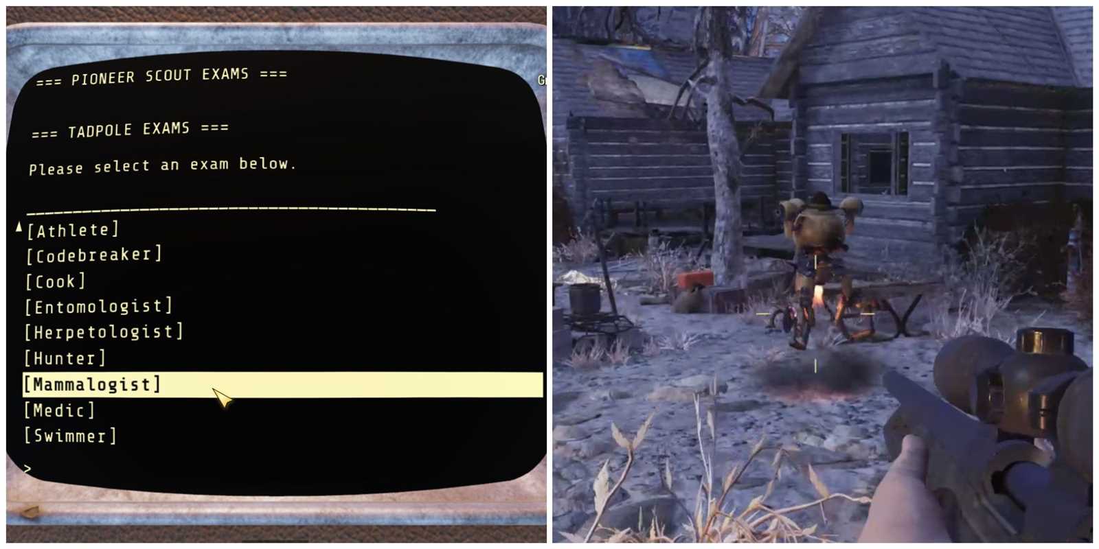 hunter exam answers fallout 76