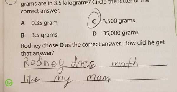 silly exam answers