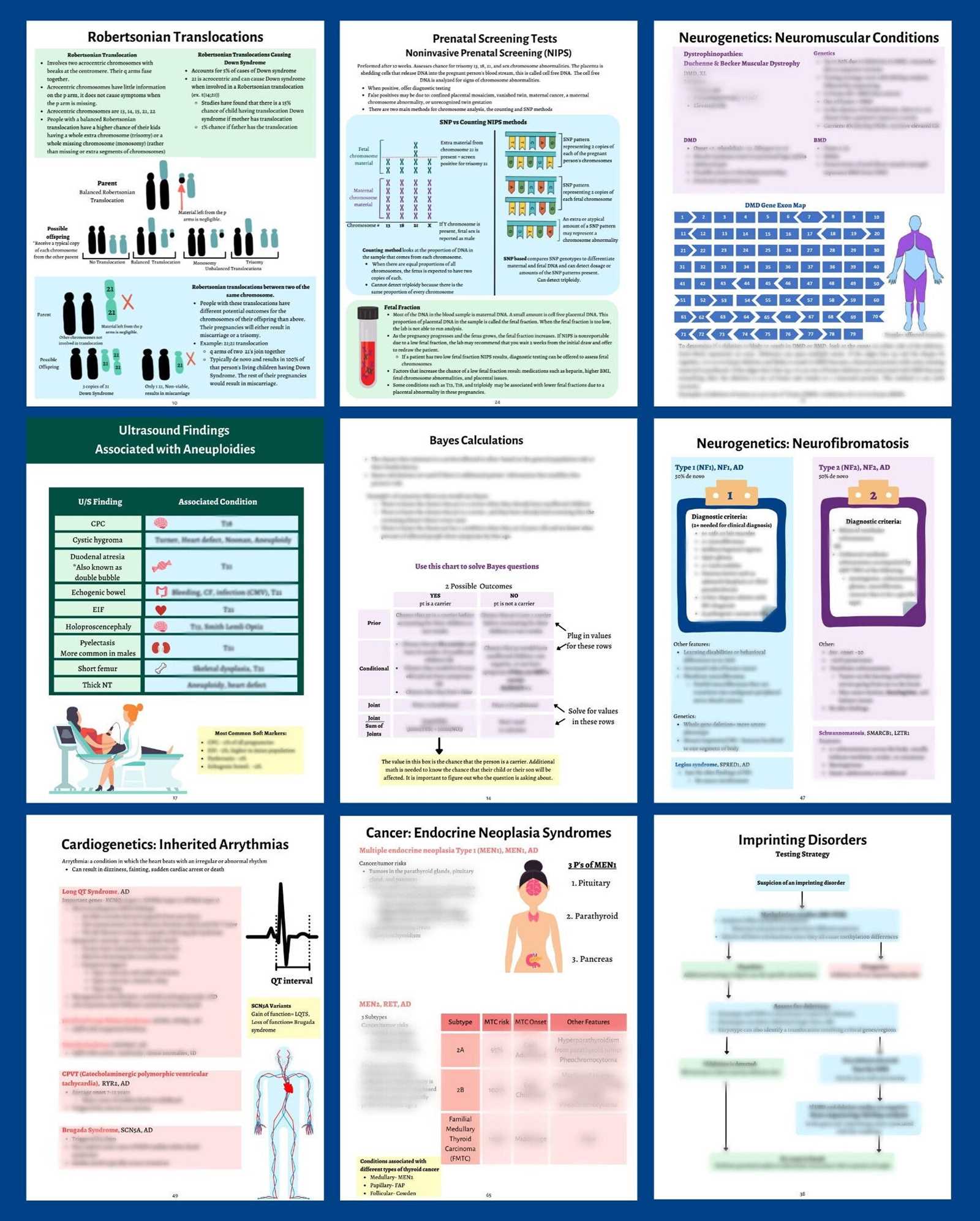 genetics exam study guide answers