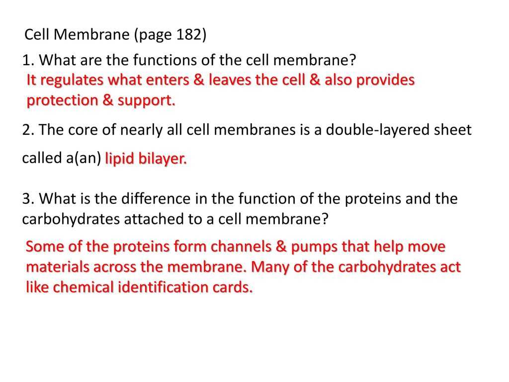 pearson biology workbook answers chapter 7