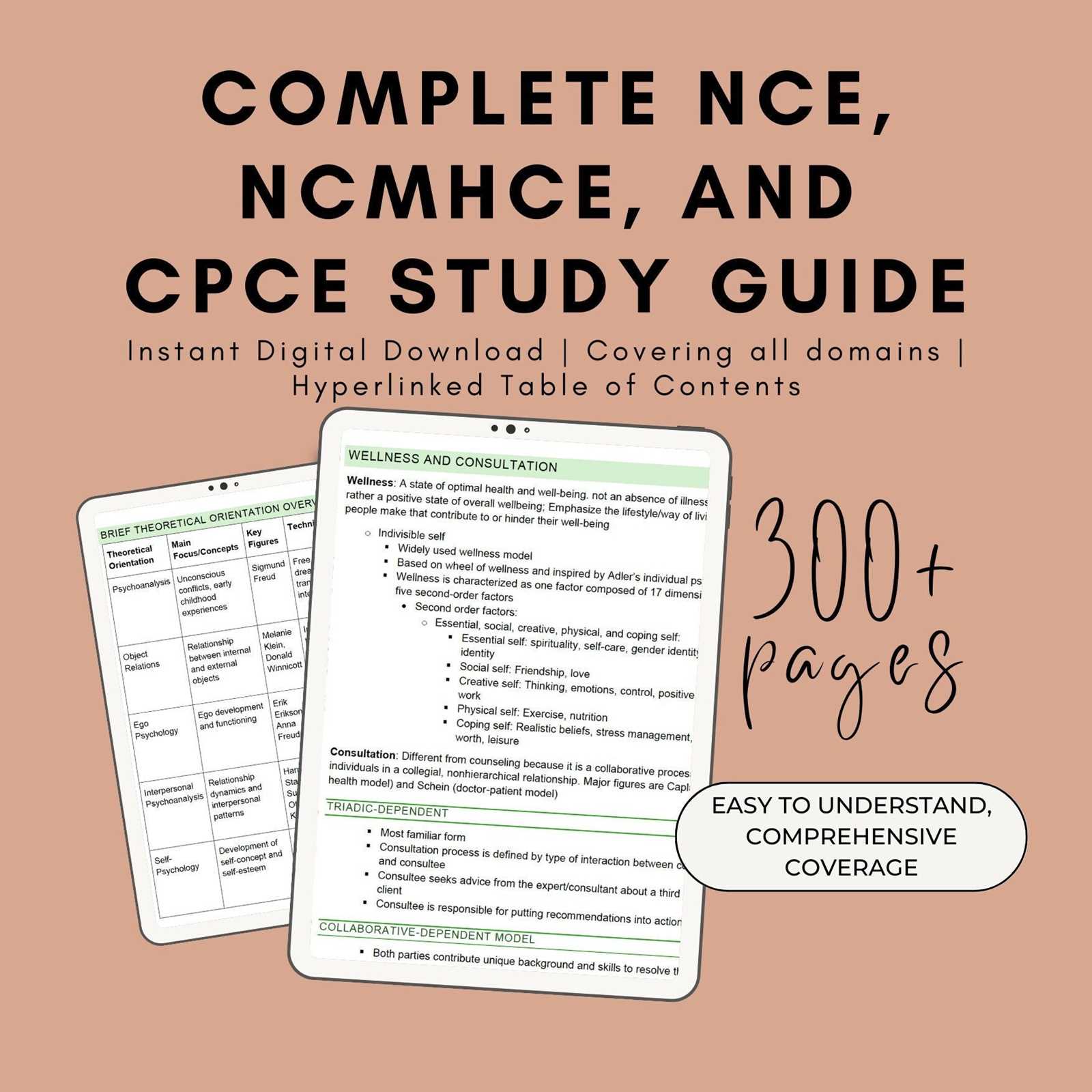 ncmhce practice exam