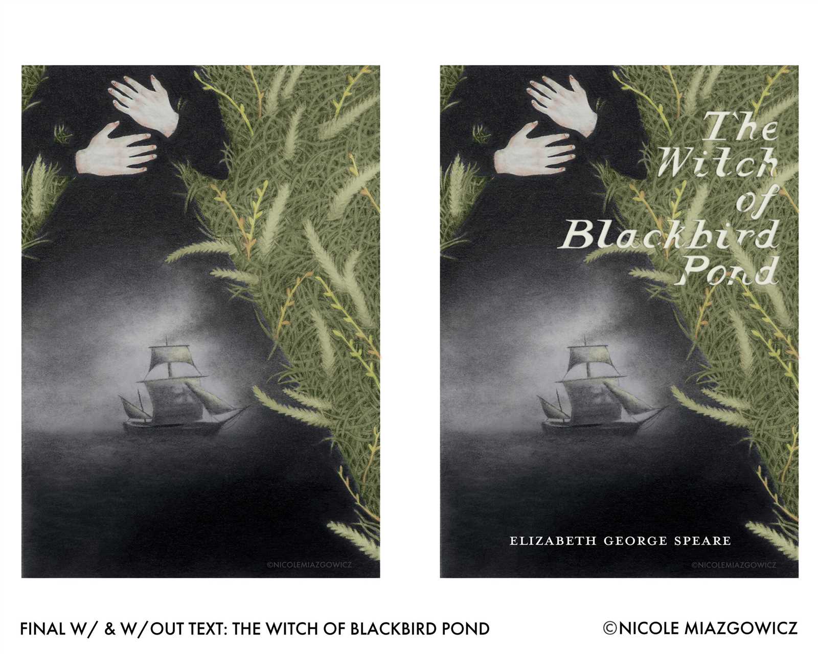 in the witch of blackbird pond answers