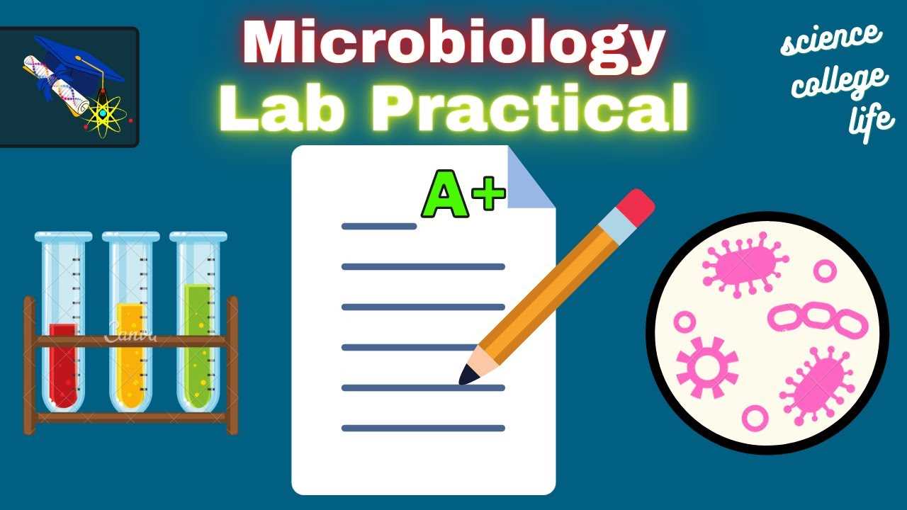 microbiology lab practical exam 2