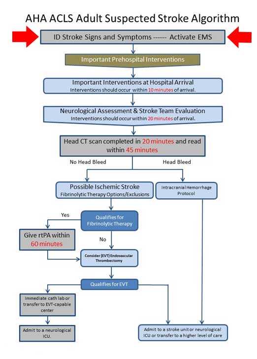 2015 acls exam answers