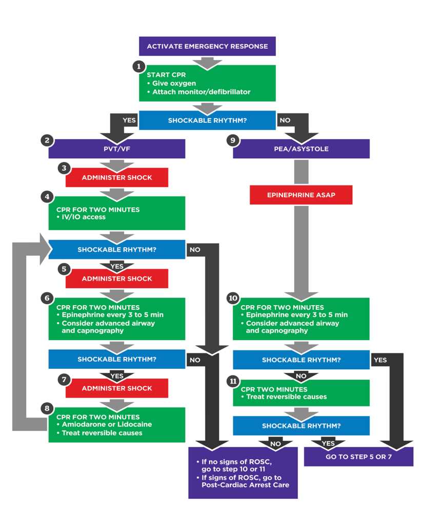 heartcode acls patient cases answers